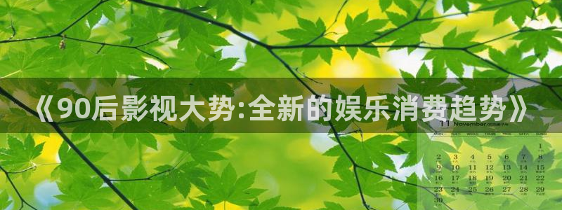 木瓜影院电影电视剧免费：《90后影视大势:全新的娱乐消费趋势》