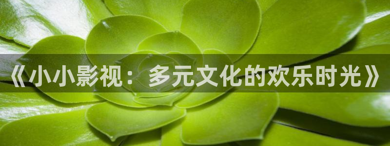 木瓜看片：《小小影视：多元文化的欢乐时光》