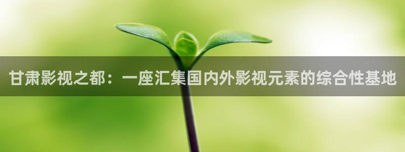 木瓜视野频：甘肃影视之都：一座汇集国内外影视元素的综合性基地