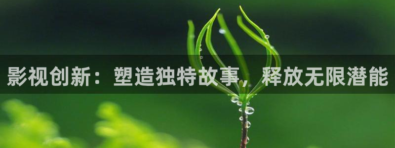 木瓜视频在线：影视创新：塑造独特故事，释放无限潜能