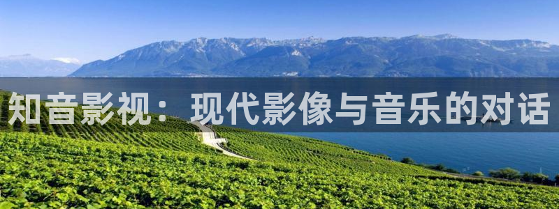 野木瓜片和木瓜片区别：知音影视：现代影像与音乐的对话