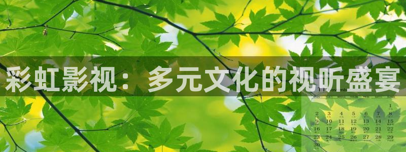 小木瓜电影：彩虹影视：多元文化的视听盛宴